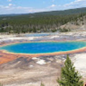 Meet your Posher, Leah